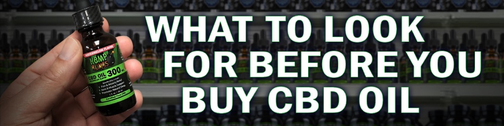 What to Look for Before You Buy CBD Oil