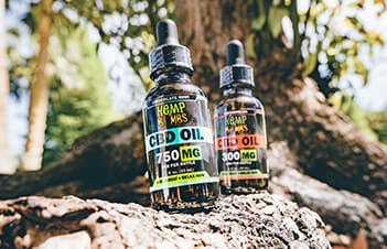 CBD Oil for Everyday Use