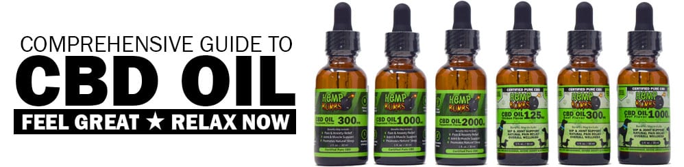 Comprehensive Guide To CBD Oil