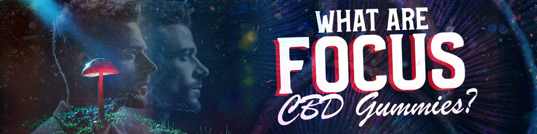 What are Focus CBD Gummies Banner